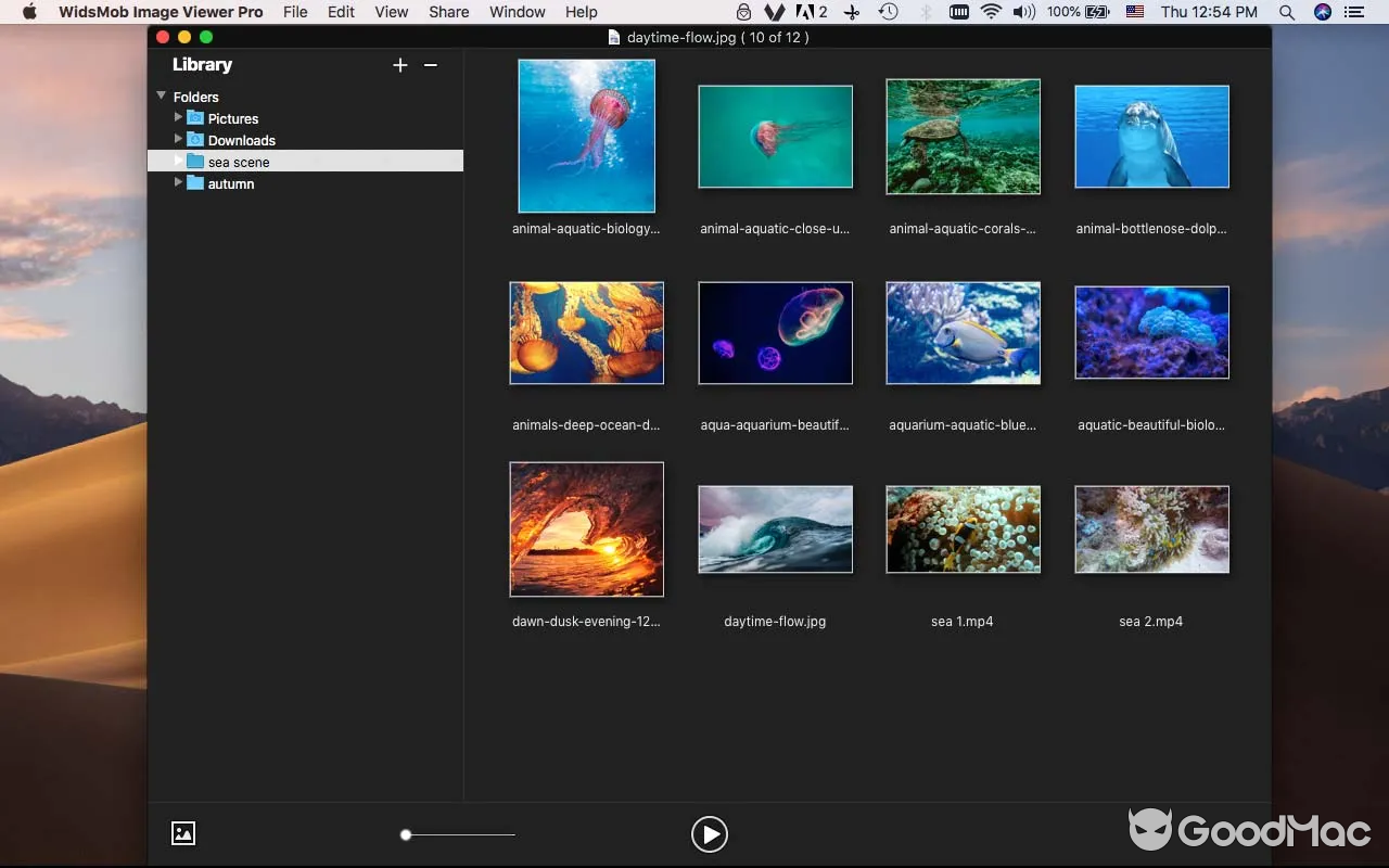 WidsMob Viewer Pro v2.20 MAS