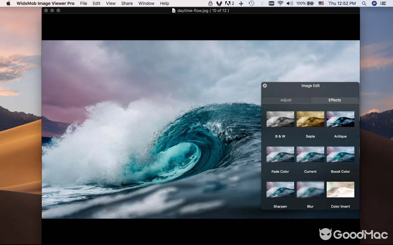 WidsMob Viewer Pro v2.20 MAS