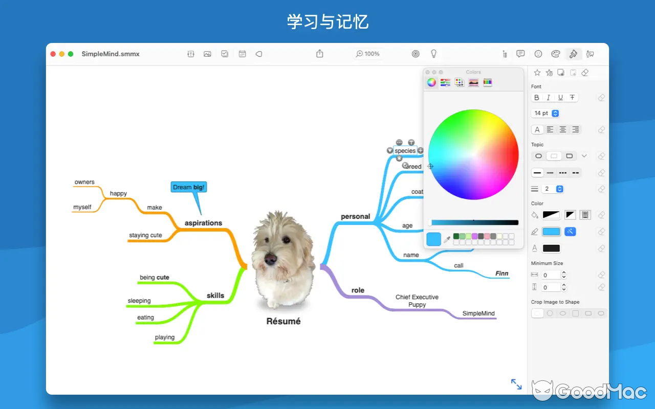 SimpleMind Pro v2.7.0 MAS