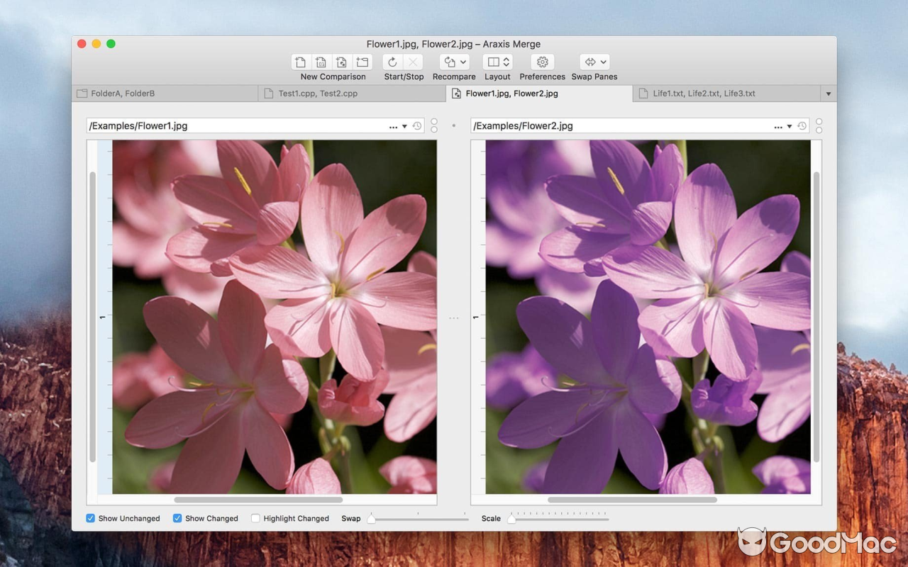 Araxis Merge v2025.1