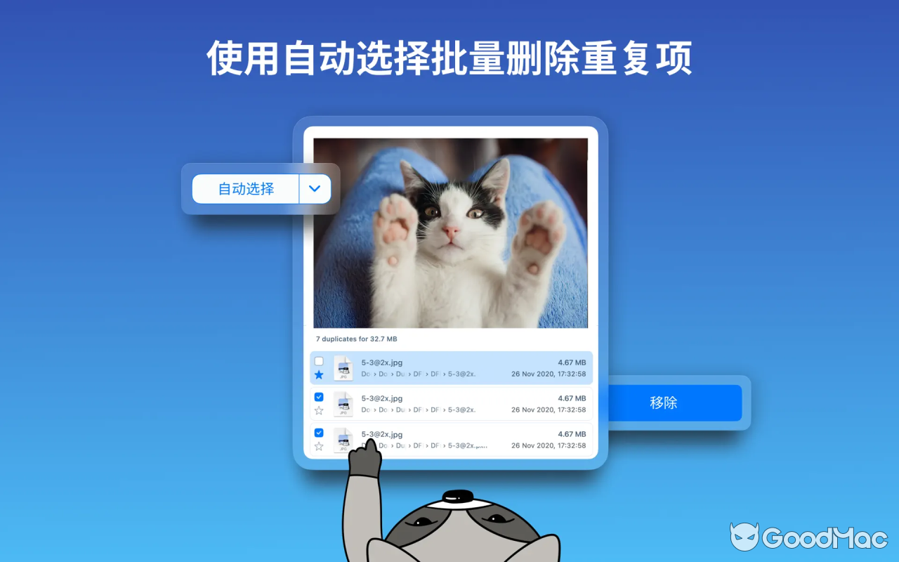 Duplicate File Finder v8.5.1