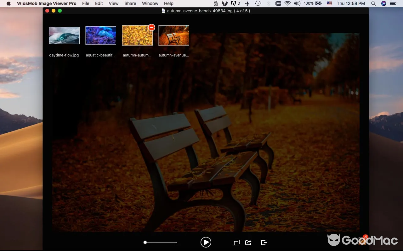 WidsMob Viewer Pro v2.20 MAS