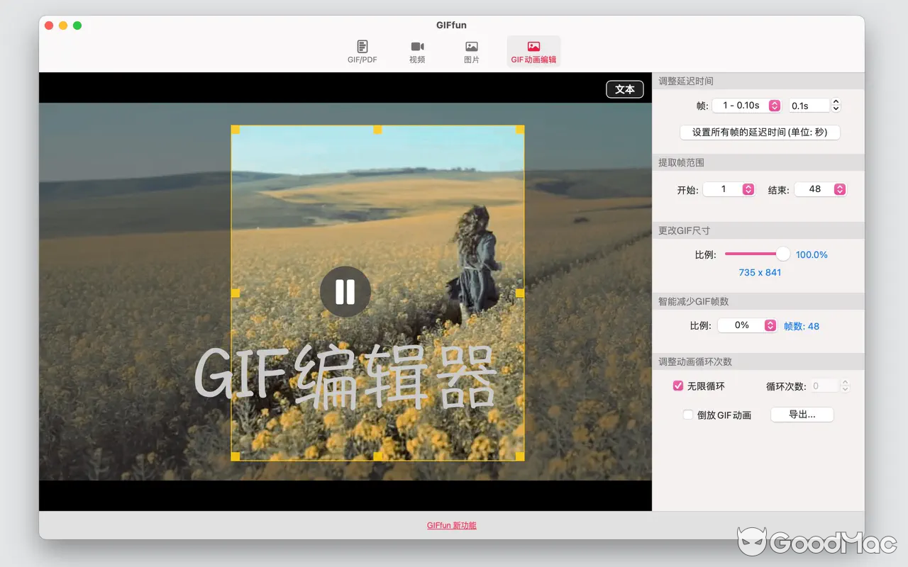 GIFfun - GIF制作器 v10.6.15 MAS