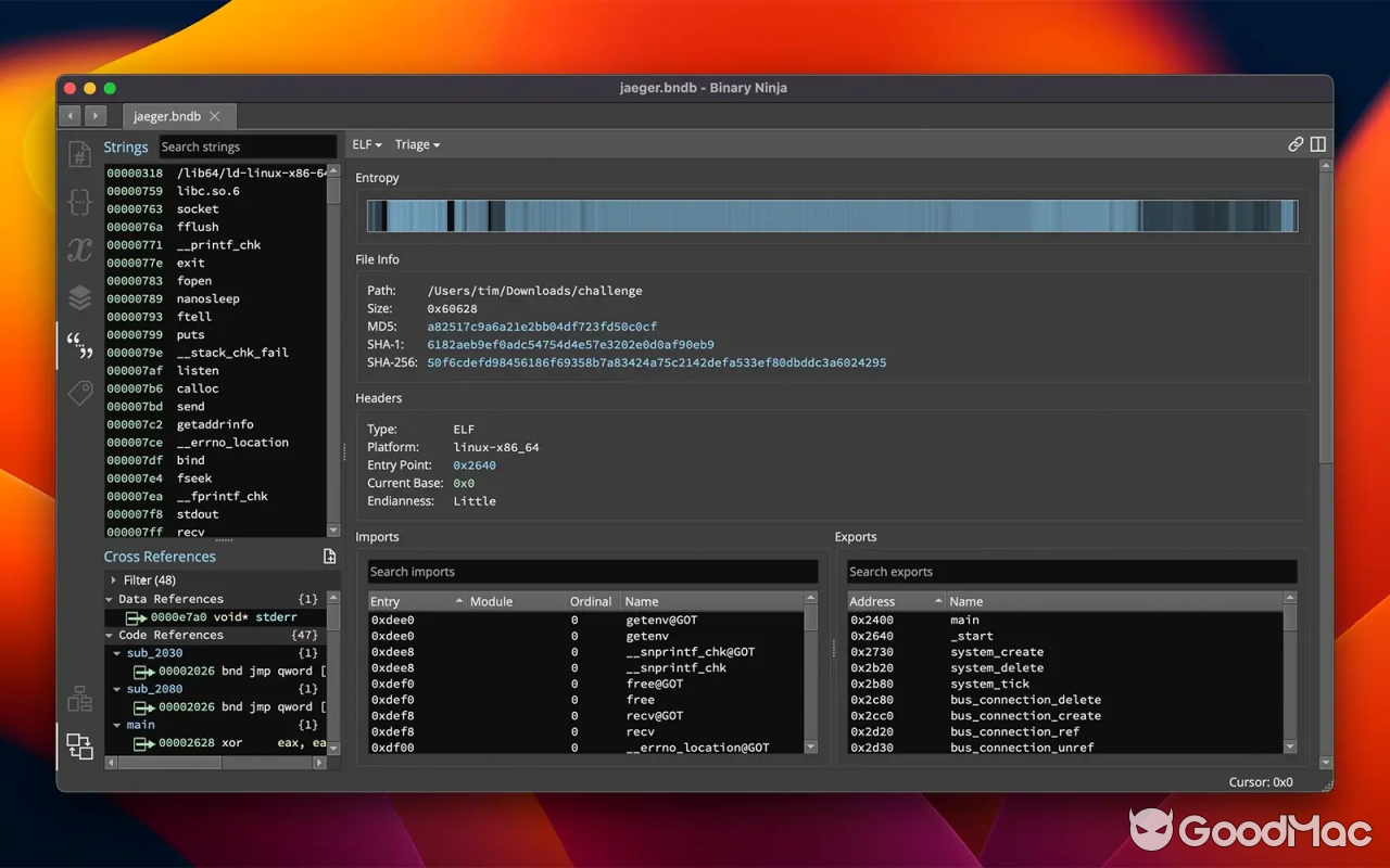 Binary Ninja v5.1.8104
