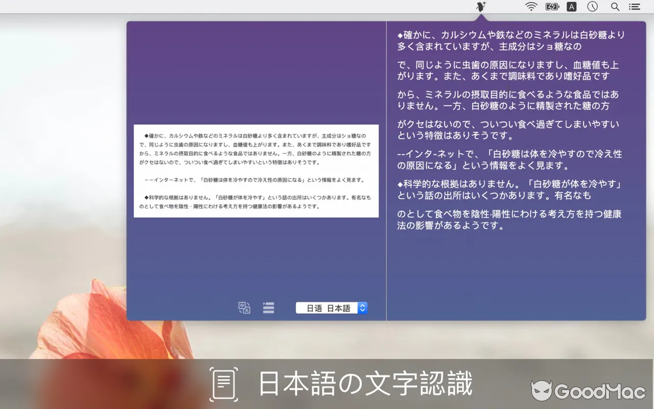 Text Scanner v1.8.1 MAS