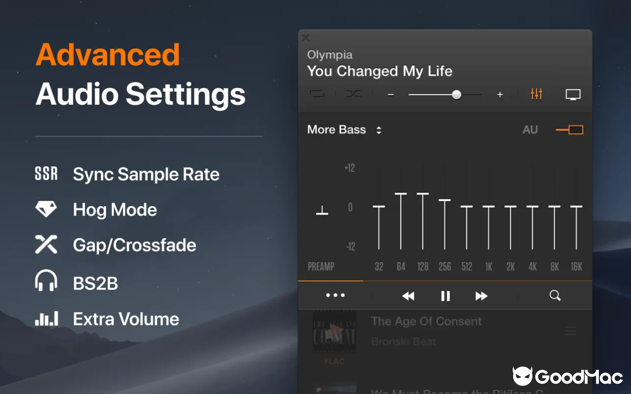 VOX: MP3 & FLAC Music Player v3.7.7 截图