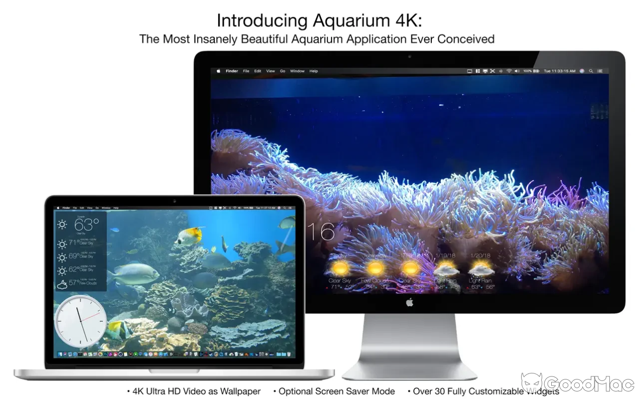 Aquarium 4K - Live Wallpaper v1.1.1 MAS