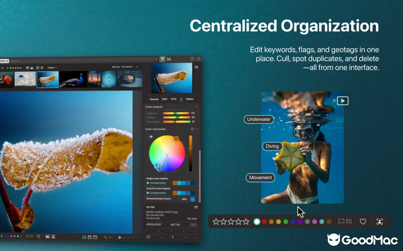 Peakto – Al Media Organizer v2.6.3 截图