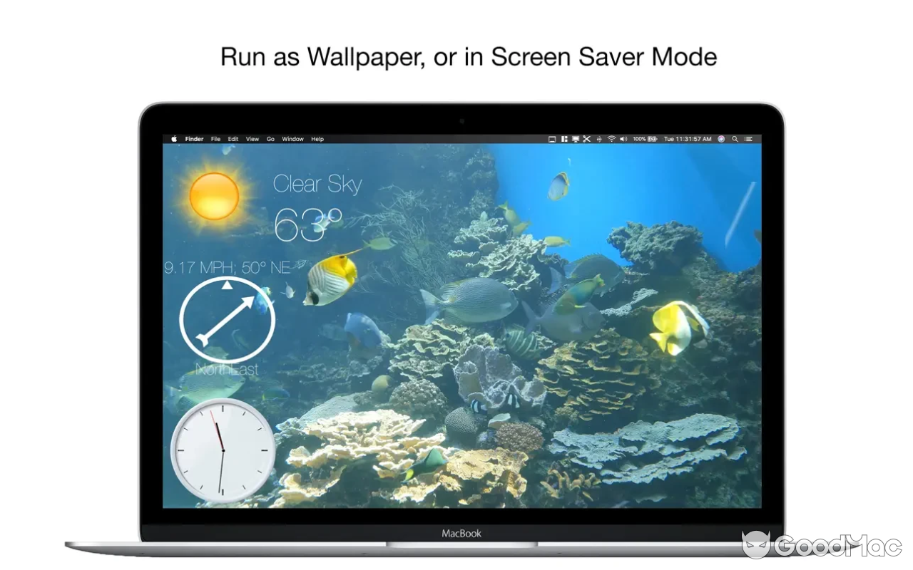 Aquarium 4K - Live Wallpaper v1.1.1 MAS