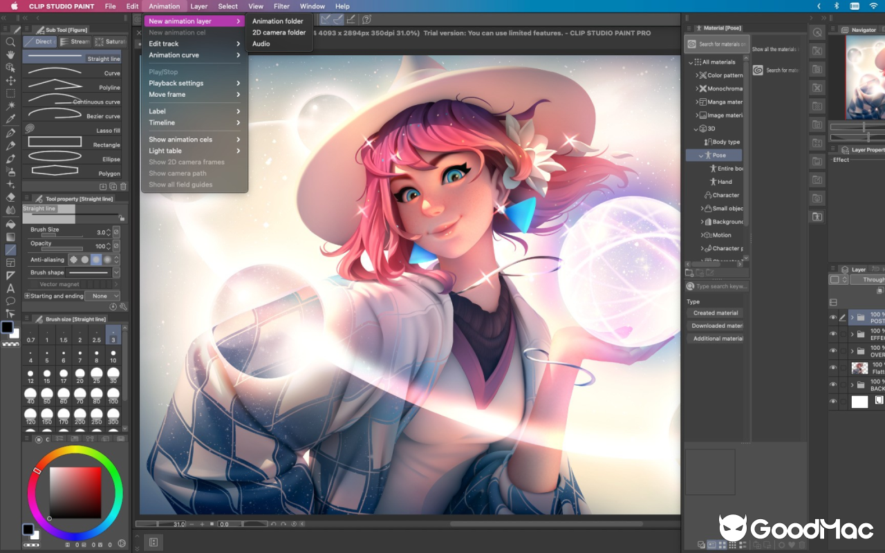 Clip Studio Paint Pro v4.1.4