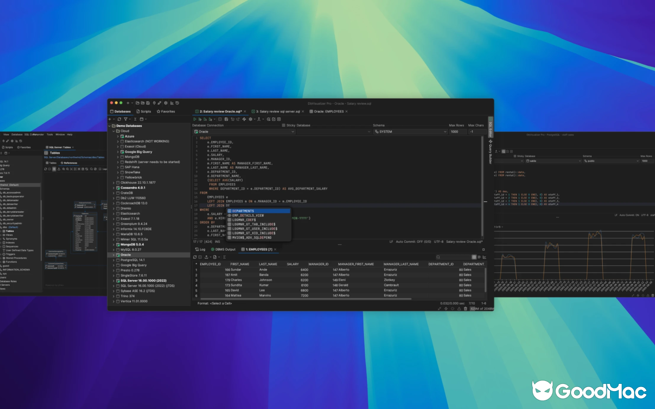 DbVisualizer Pro v25.3.2.4658 截图