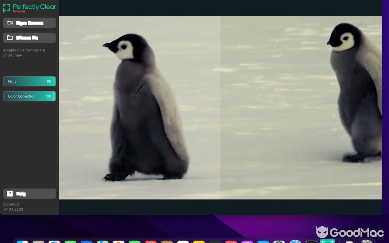 Perfectly Clear Video v4.6.1.2701