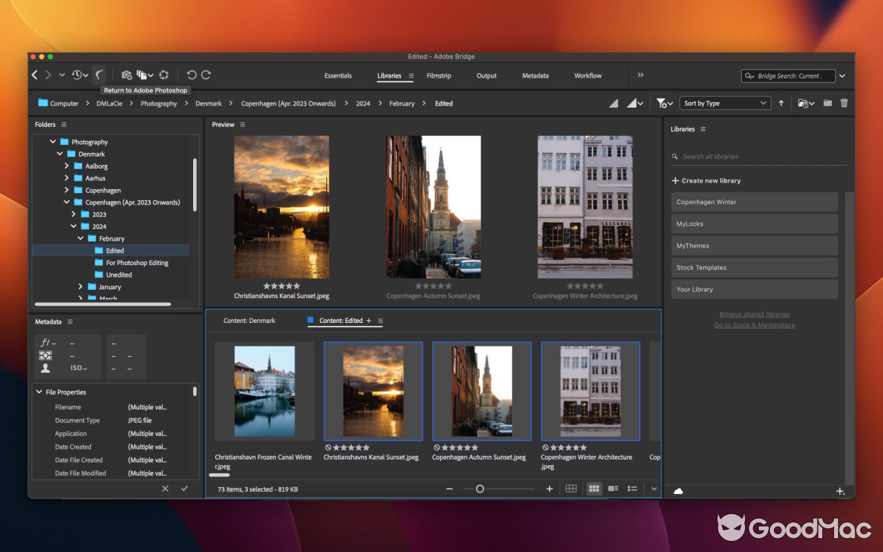 Adobe Bridge 2026 v16.0.0