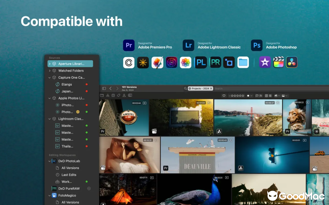 Peakto – Al Media Organizer v2.6.3 截图