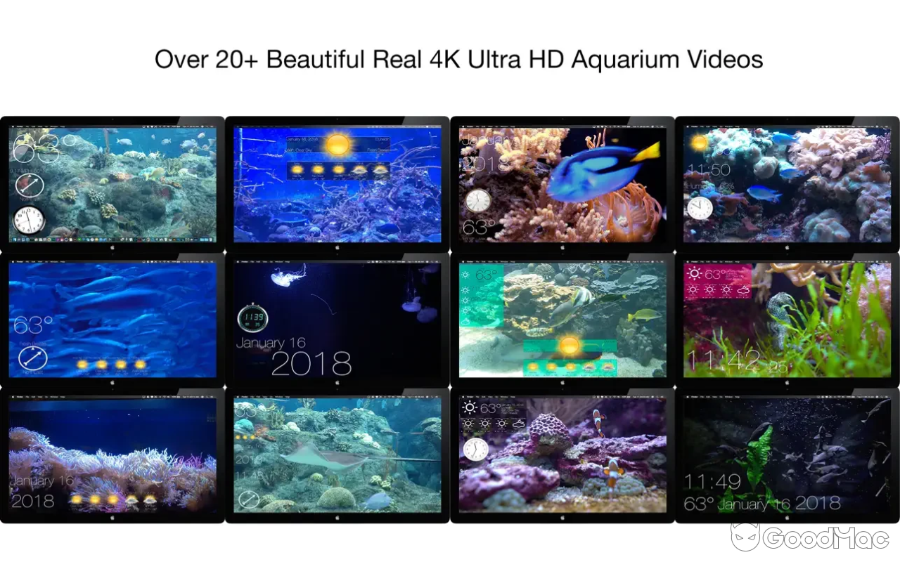 Aquarium 4K - Live Wallpaper v1.1.1 MAS