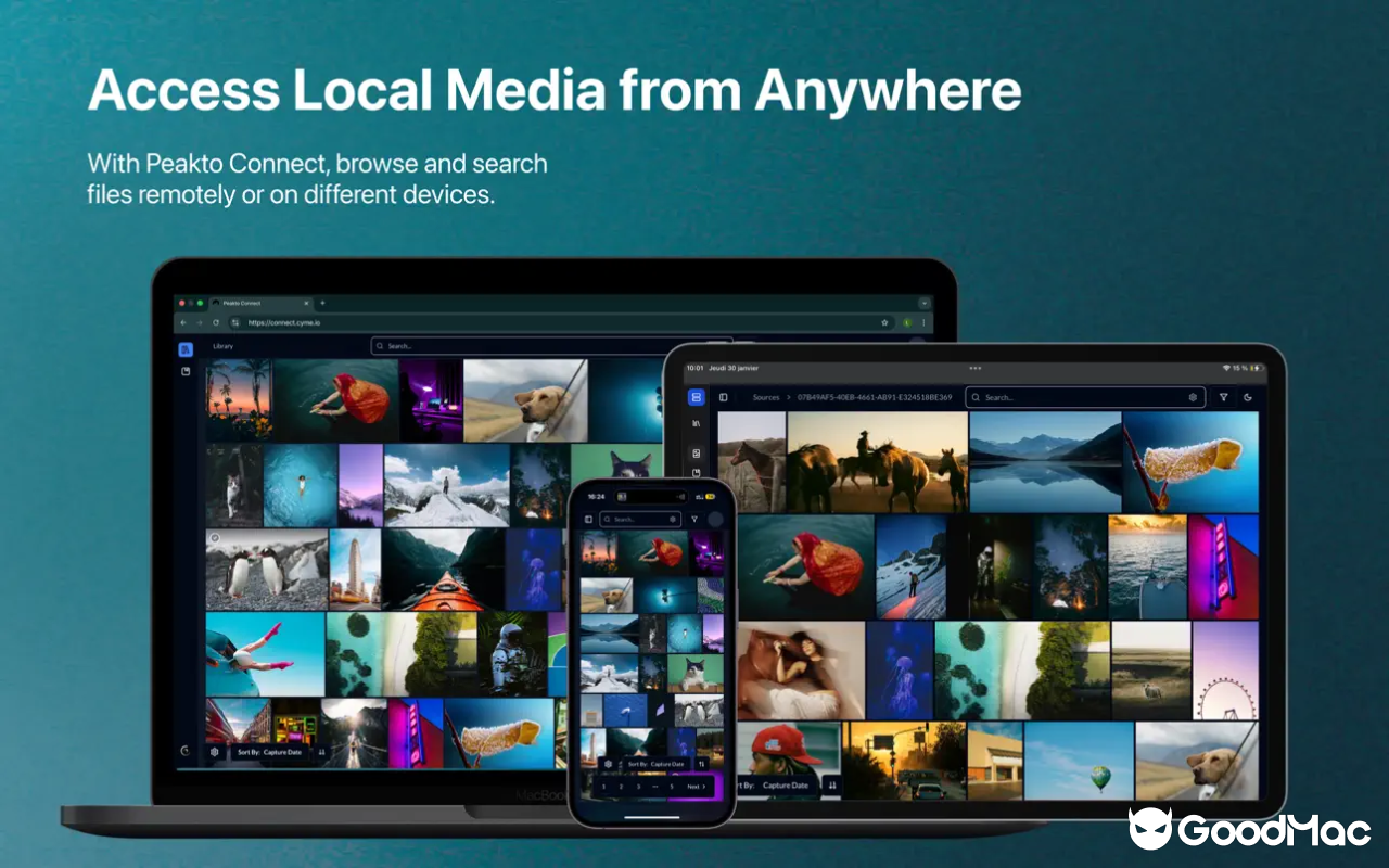 Peakto – Al Media Organizer v2.6.3 截图