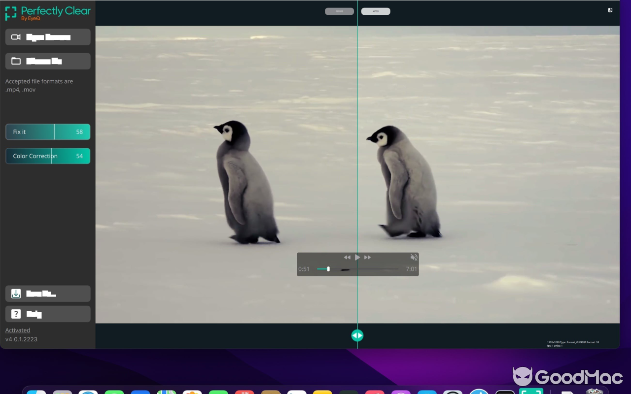 Perfectly Clear Video v4.6.1.2701