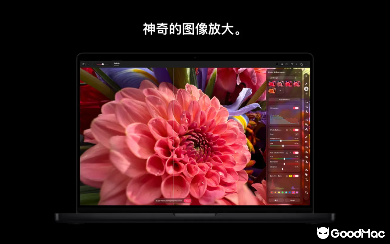 Pixelmator Pro v4.0 1.0.120 fix 截图