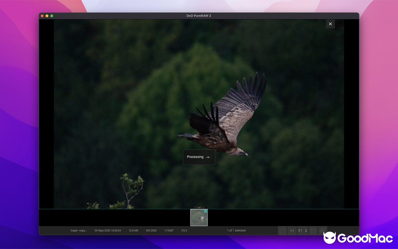 DxO PureRAW v6.0.0 截图