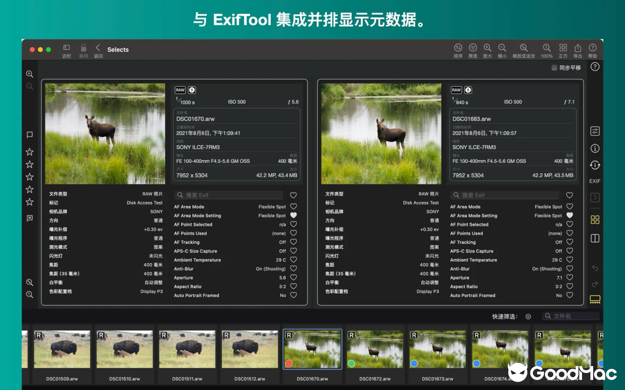 Nitro Photo v2026.04 截图