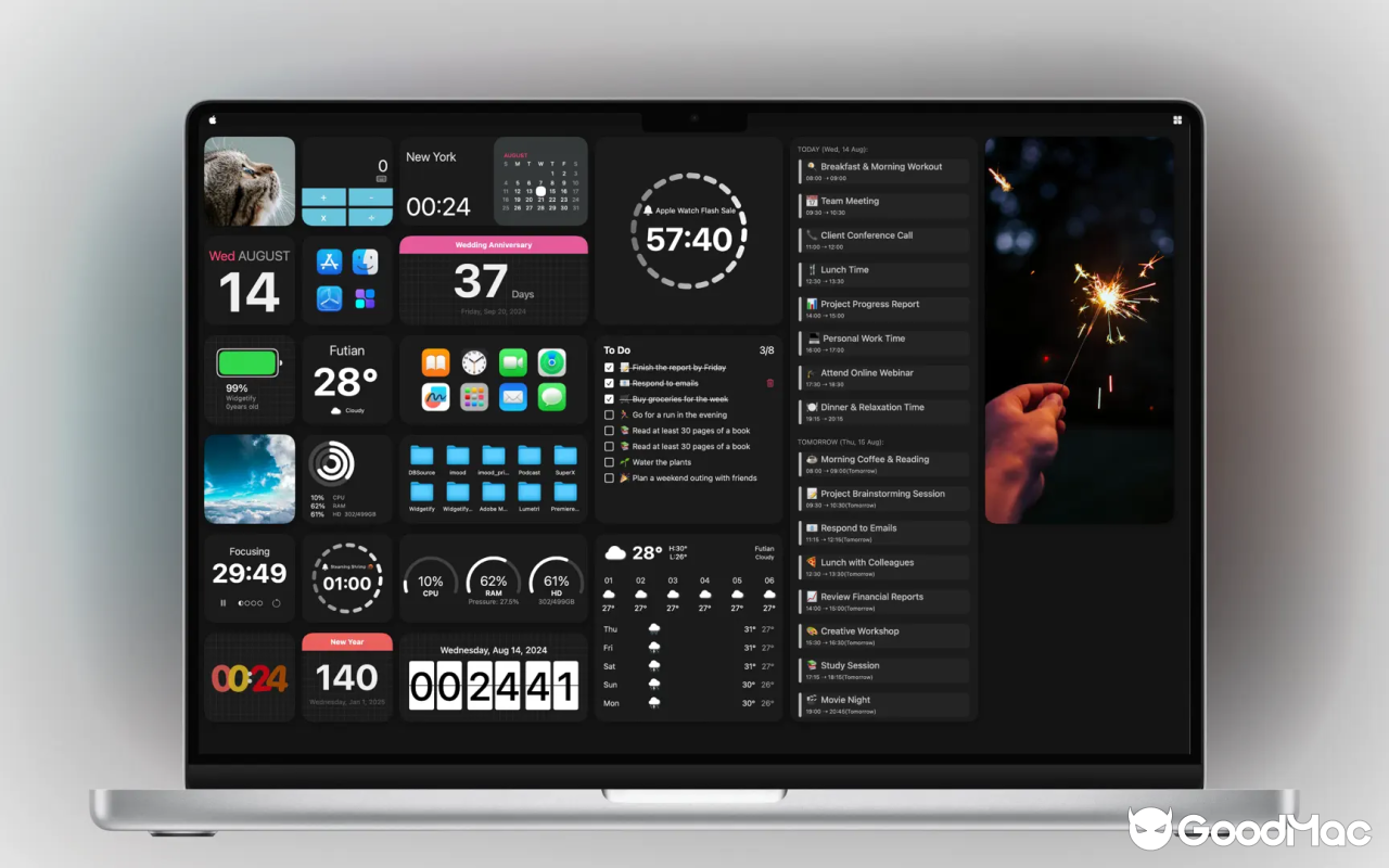 Widgetify v4.30 截图