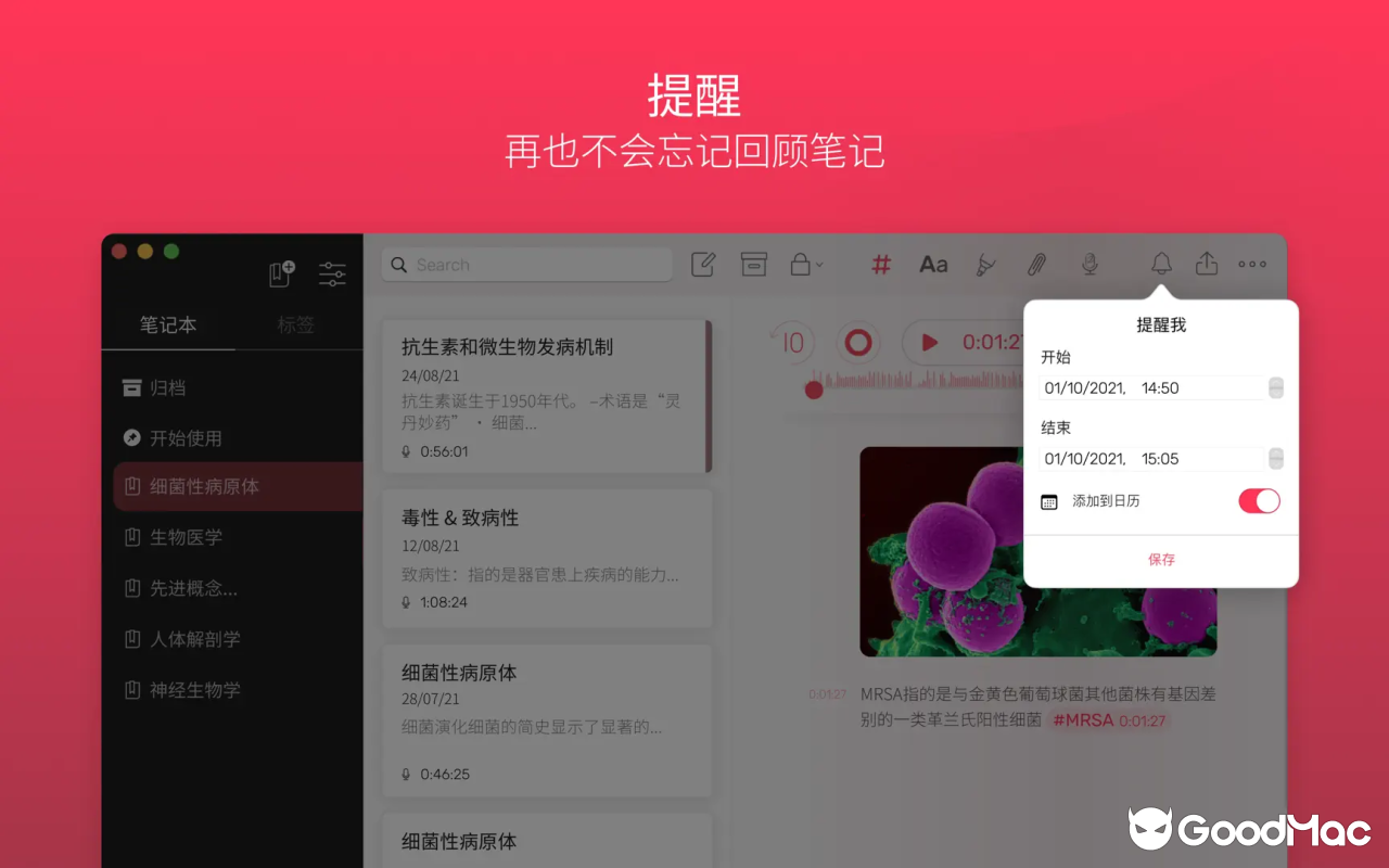Noted v6.2.0 截图