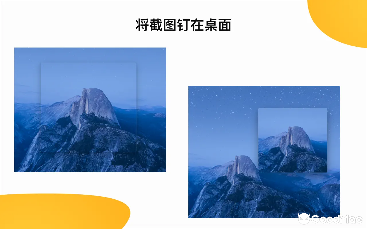 Snap v3.1.4 截图