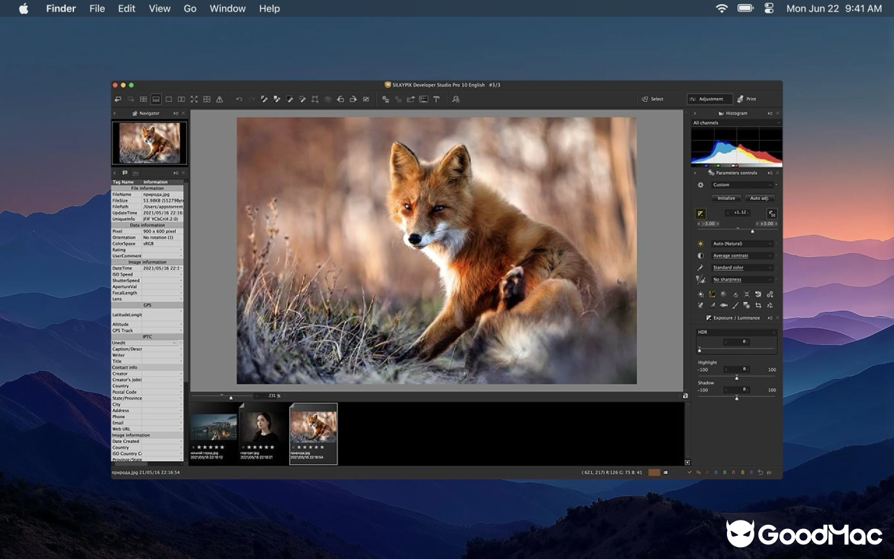 SILKYPIX Developer Studio Pro v11.0.18.0 截图