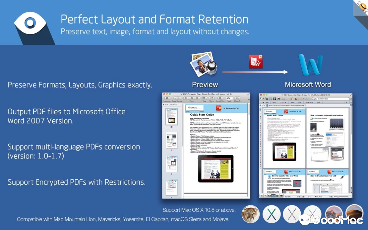 PDF to Word - Flyingbee v10.2.2 截图