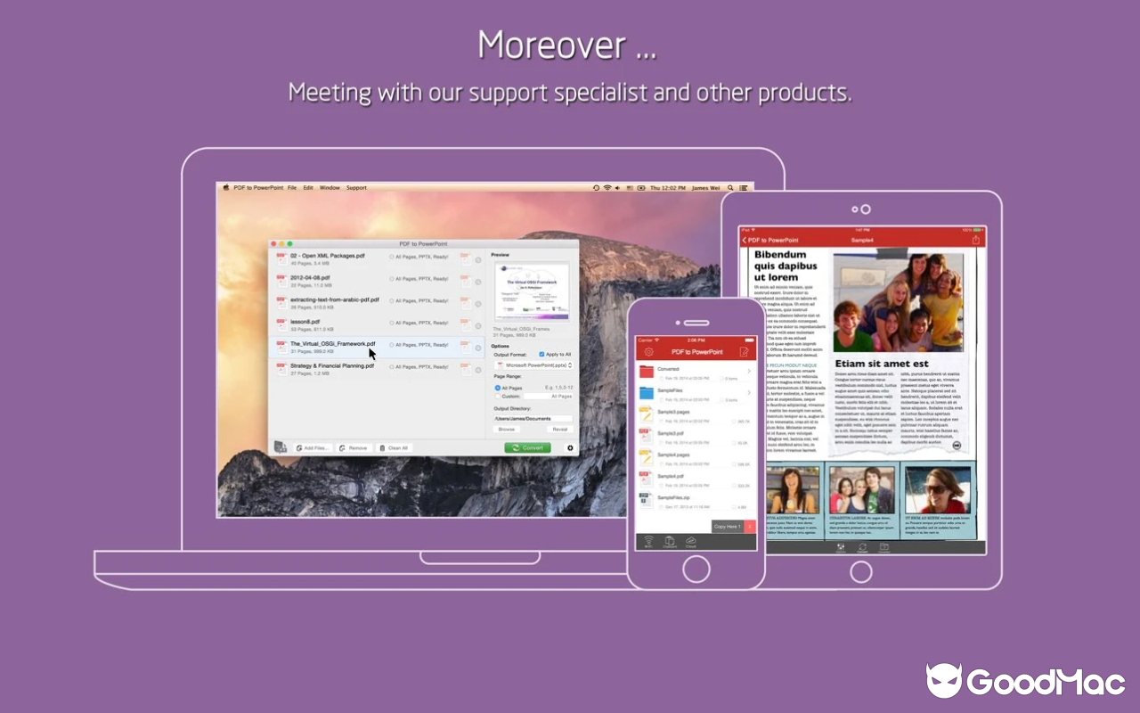 PDF to PowerPoint - Flyingbee v10.2.4 截图