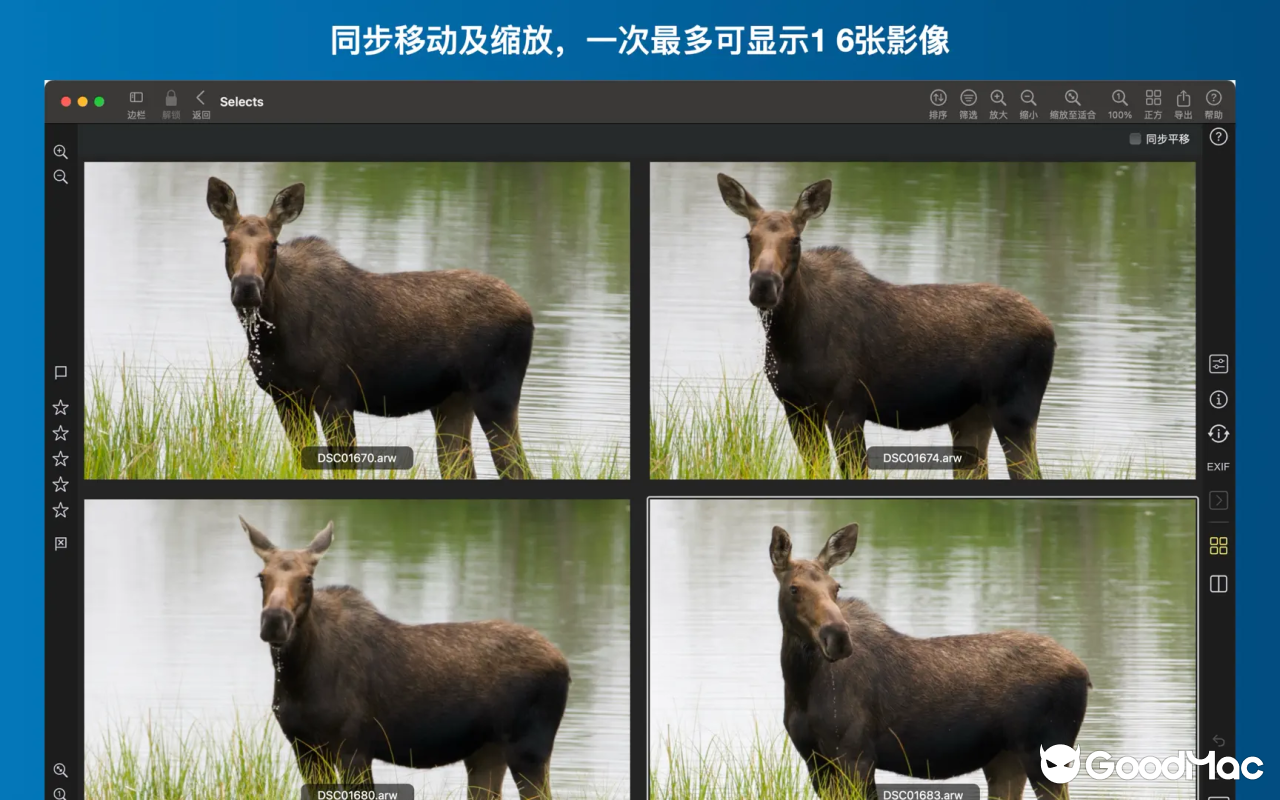 Nitro Photo v2026.04 截图