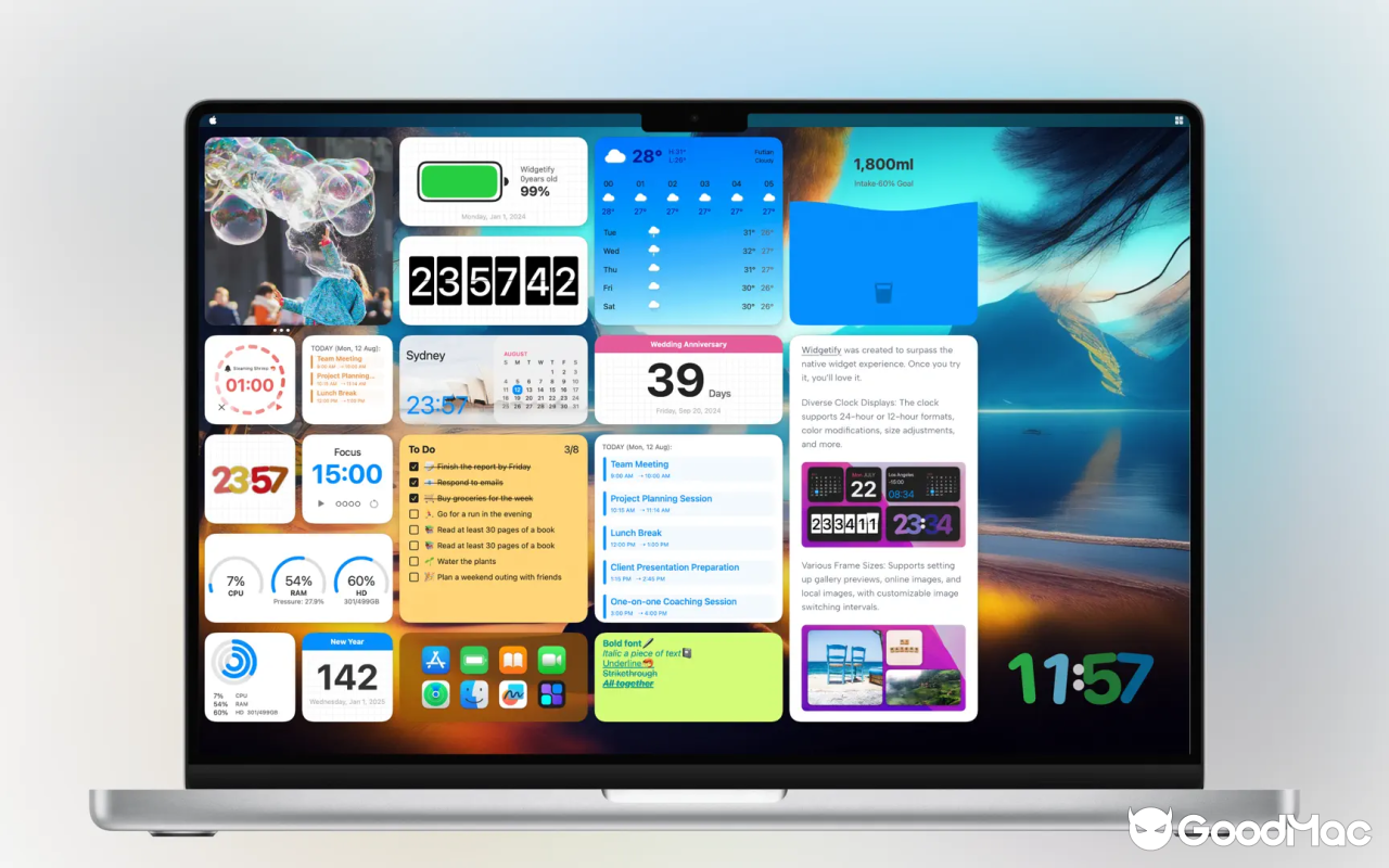 Widgetify v4.30 截图