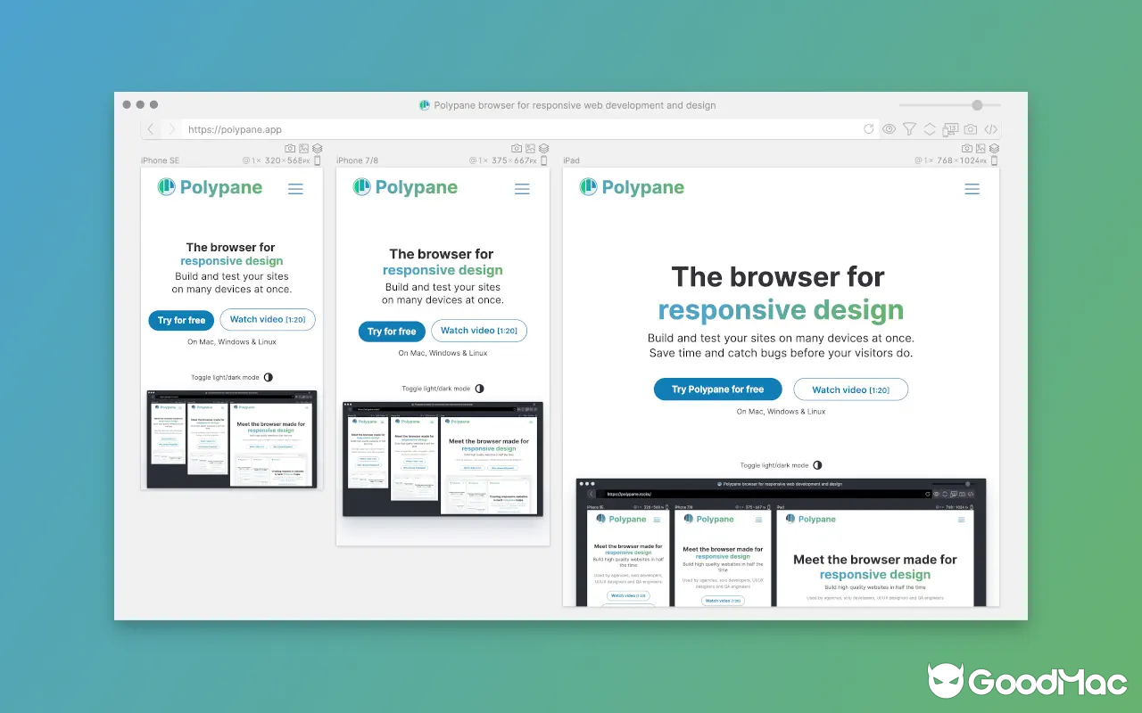 Polypane v28.0.3 截图