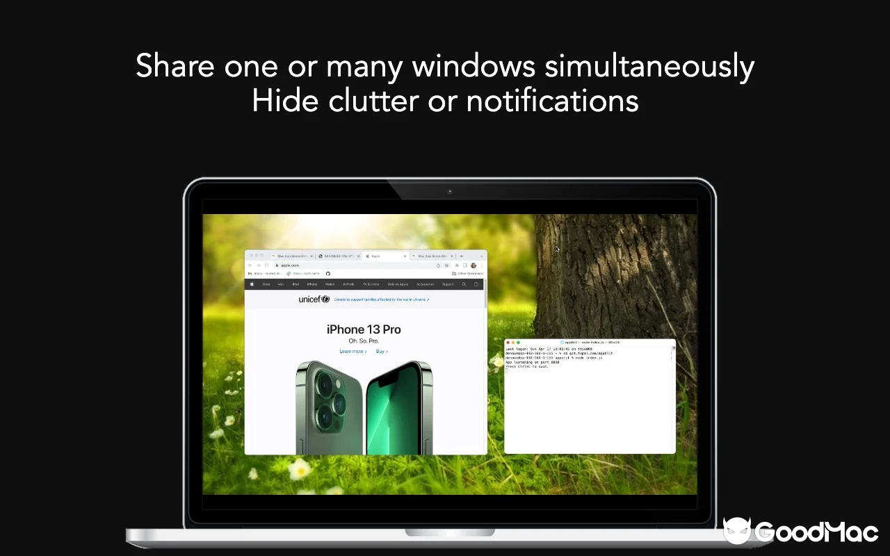 Screegle v2.2.12 MAS 截图