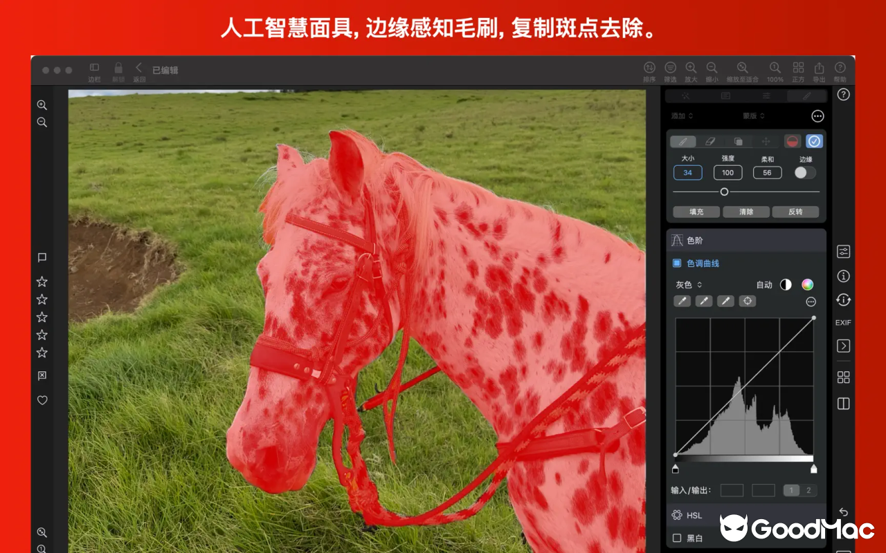 Nitro Photo v2026.04 截图