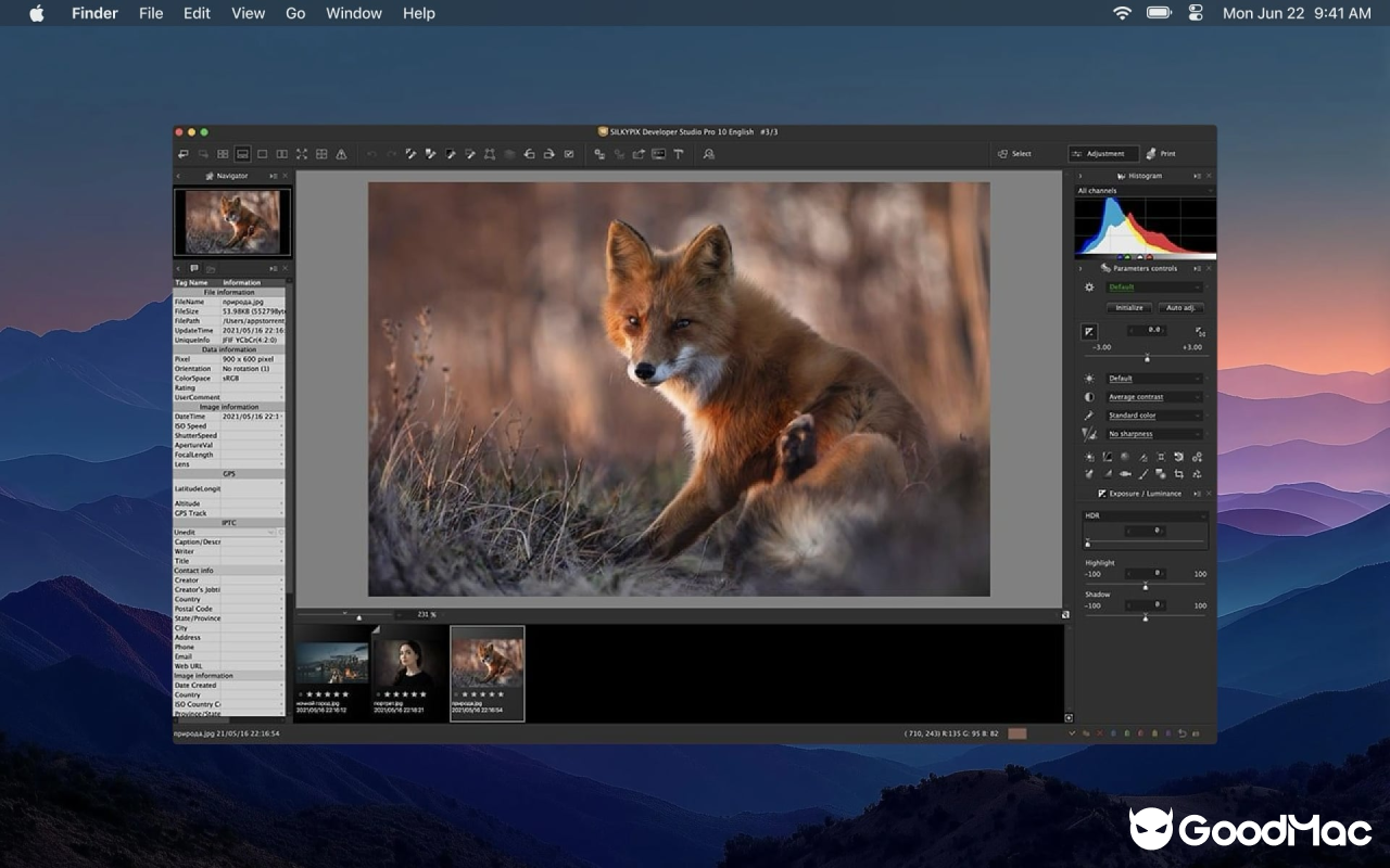 SILKYPIX Developer Studio Pro v11.0.18.0 截图