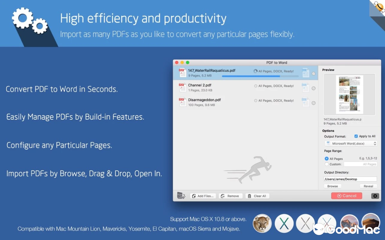 PDF to Word - Flyingbee v10.2.2 截图