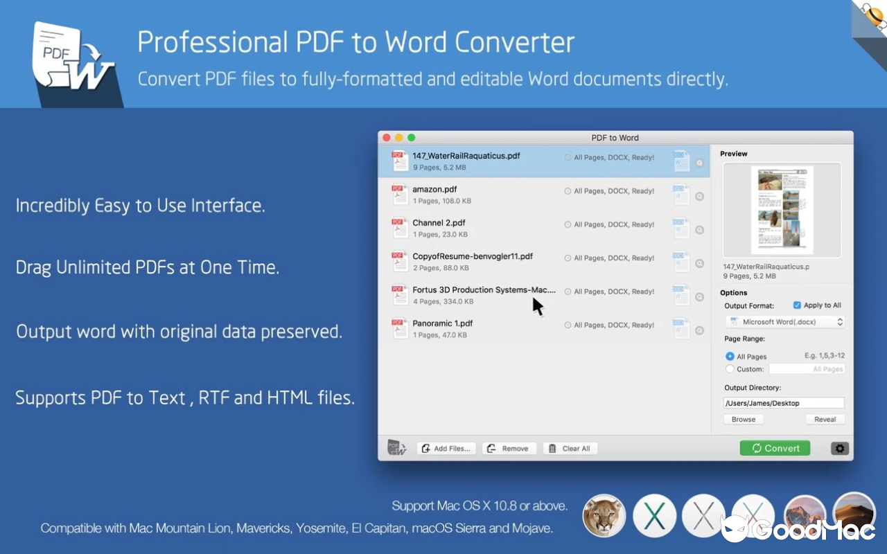 PDF to Word - Flyingbee v10.2.2 截图