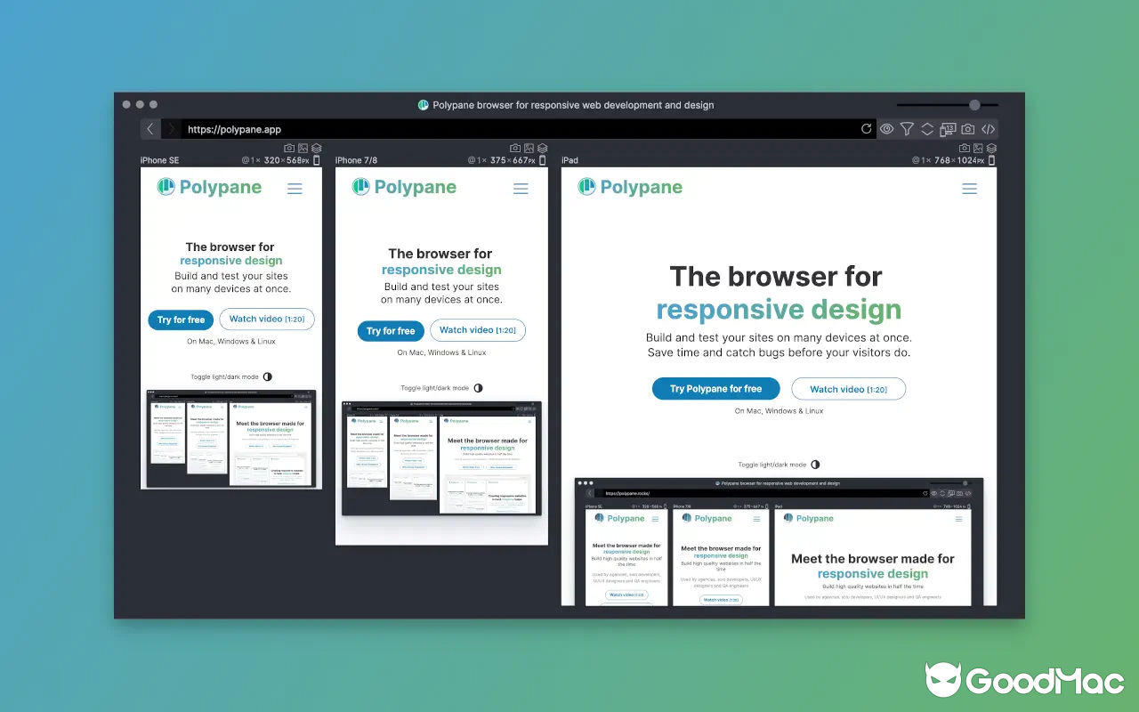 Polypane v28.0.3 截图