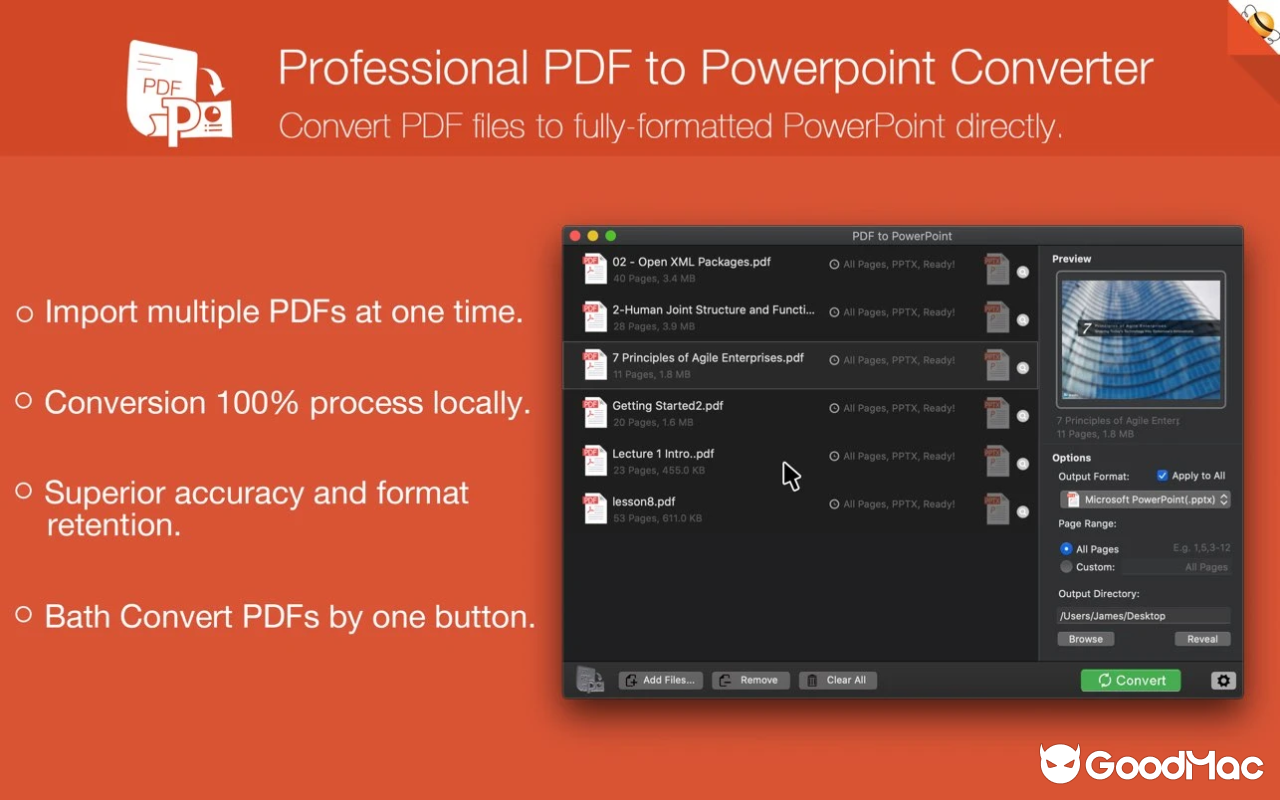PDF to PowerPoint - Flyingbee v10.2.4 截图