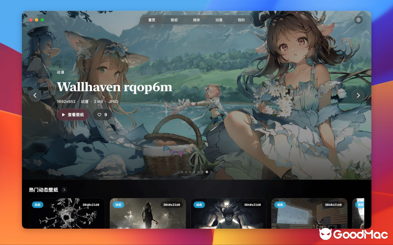 WaifuX v38.0.57 截图