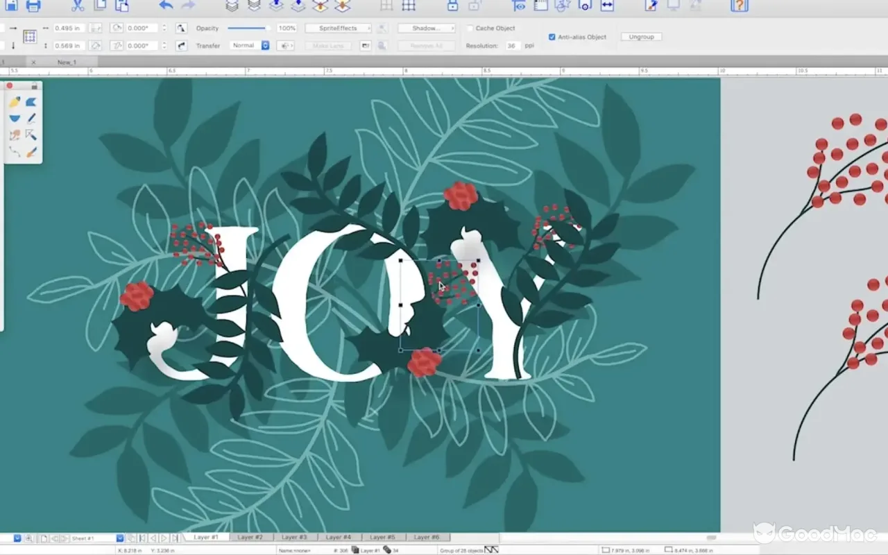 Canvas X Draw 26.0.3 截图