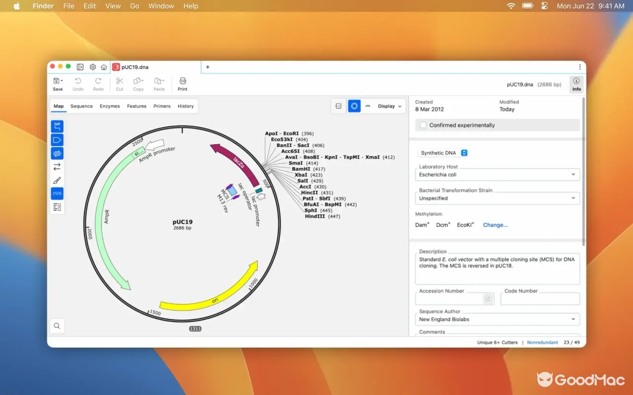 SnapGene 8.2.3 截图