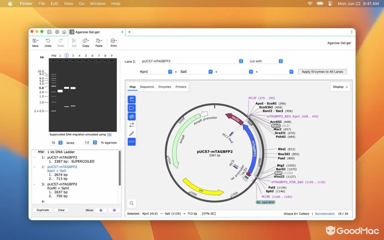 SnapGene 8.2.3 截图