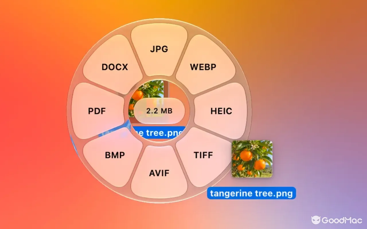 Tangerine: File Converter 2.0.2 截图