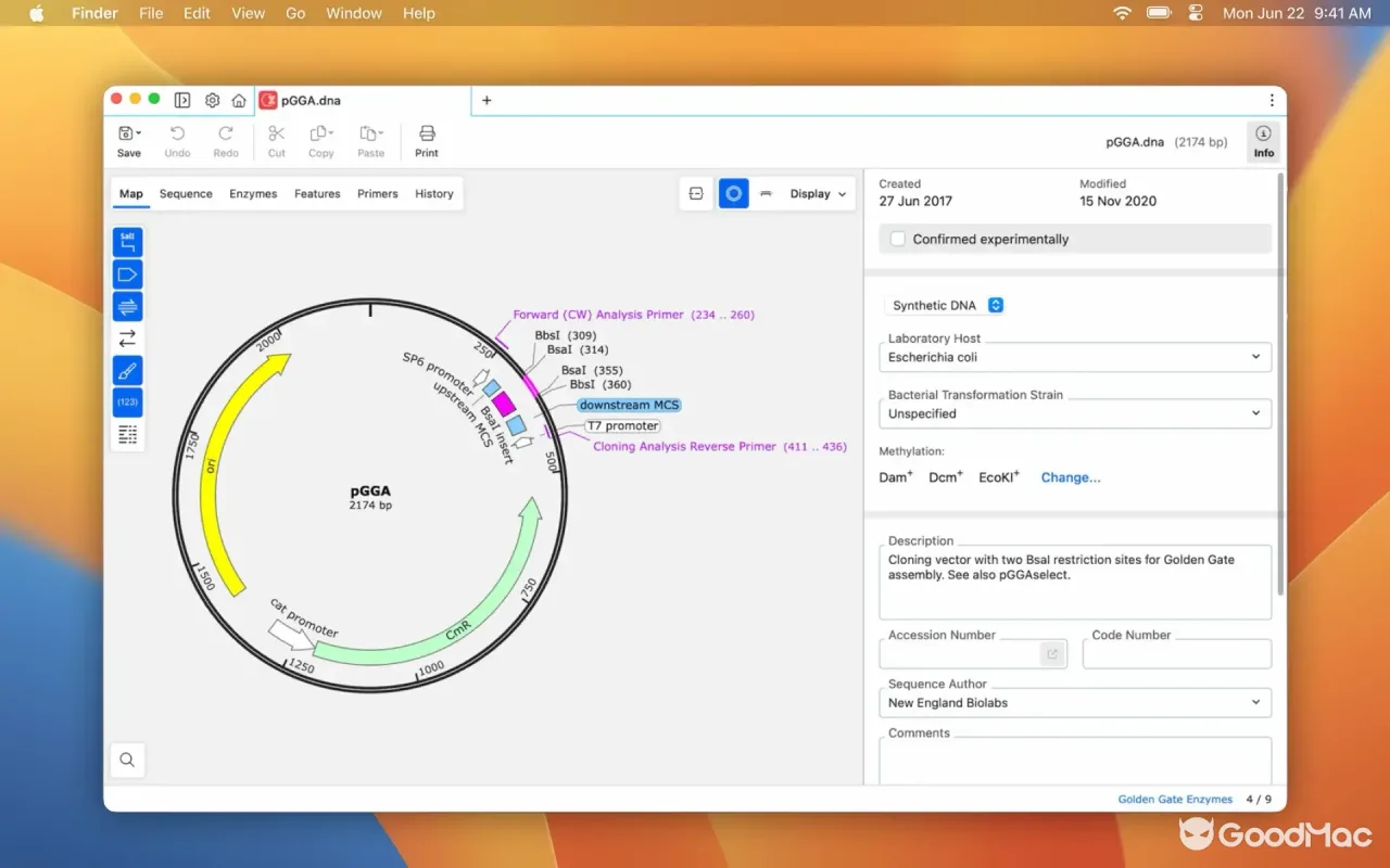 SnapGene 8.2.3 截图