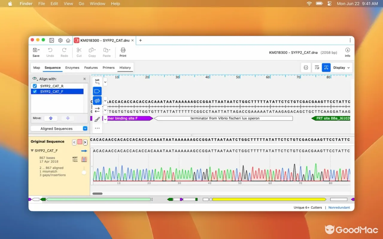 SnapGene 8.2.3 截图