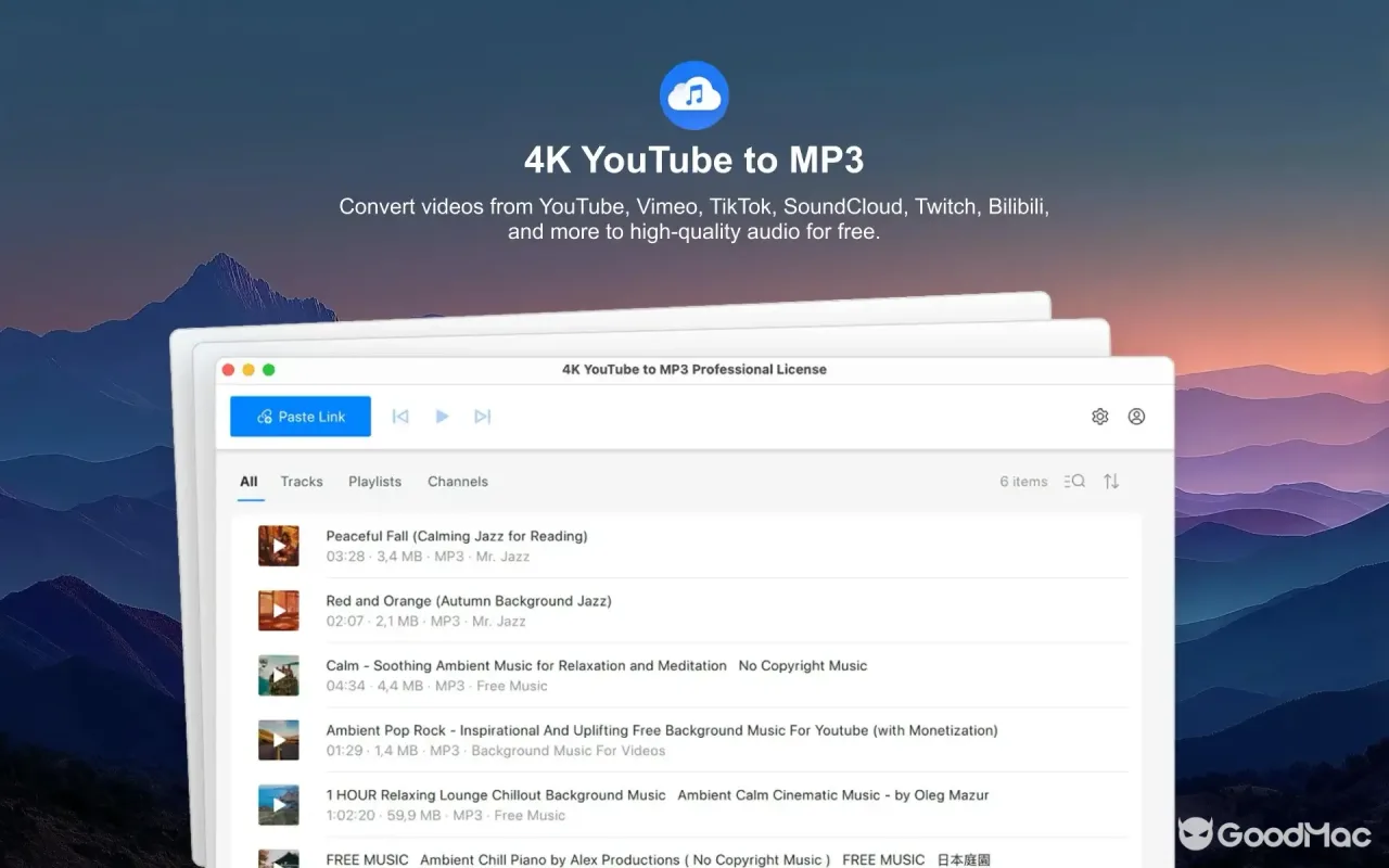 4K YouTube to MP3 Pro 26.3.5 截图