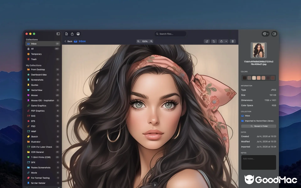 VectorView v4.2.2 截图