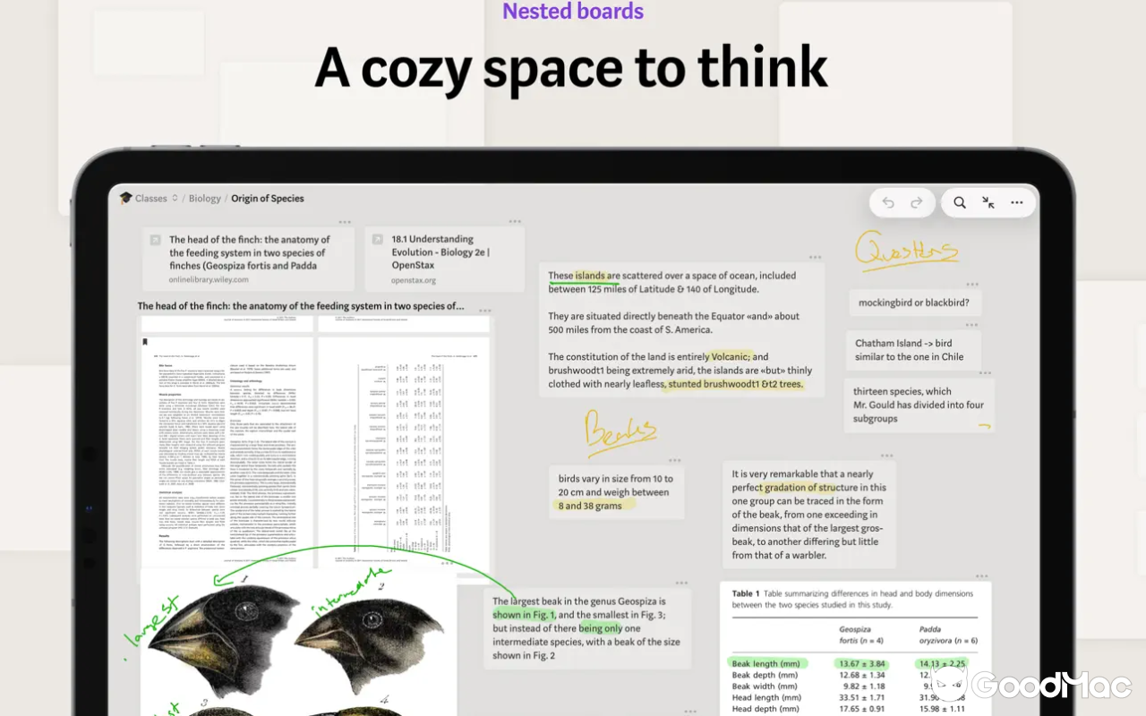 Allume - for focused thinking v4.0.2 截图